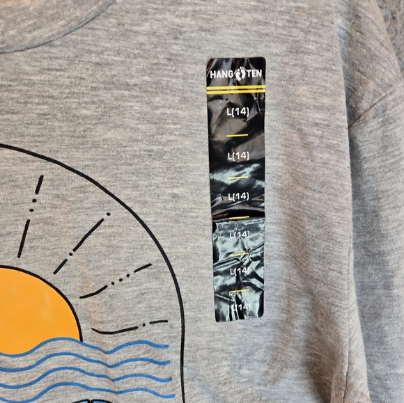 Hang Ten Teens Pull Over Cropped Long Sleeve T-Shirt Sz 14 Gray-Colorful Graphic - Picture 3 of 7